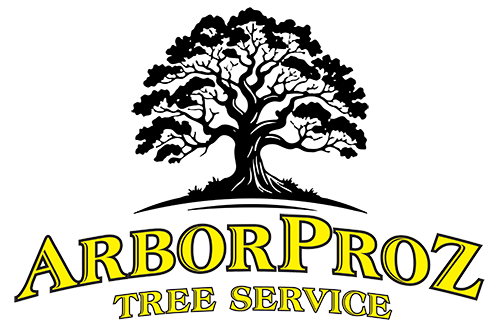 My WordPress Site
